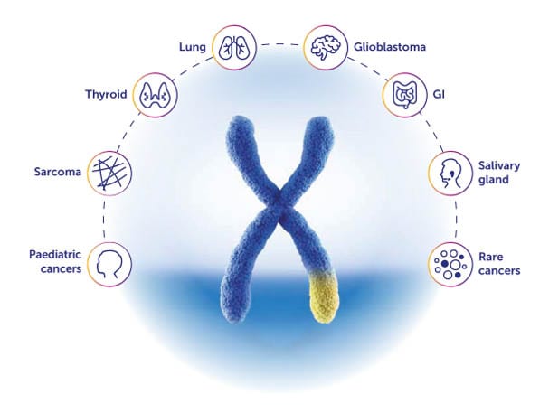 X chromosome with cancer types